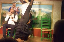 554 granada flamenco show